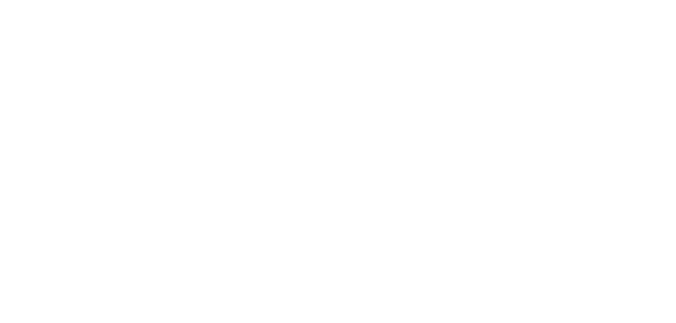 Insurance Hawk Logo (white)
